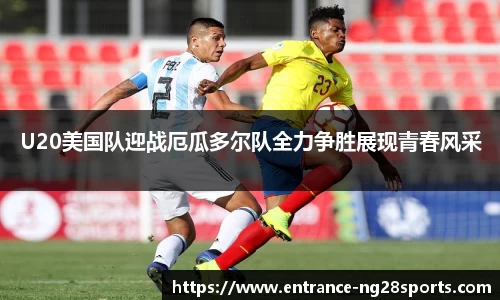 南宫28公司